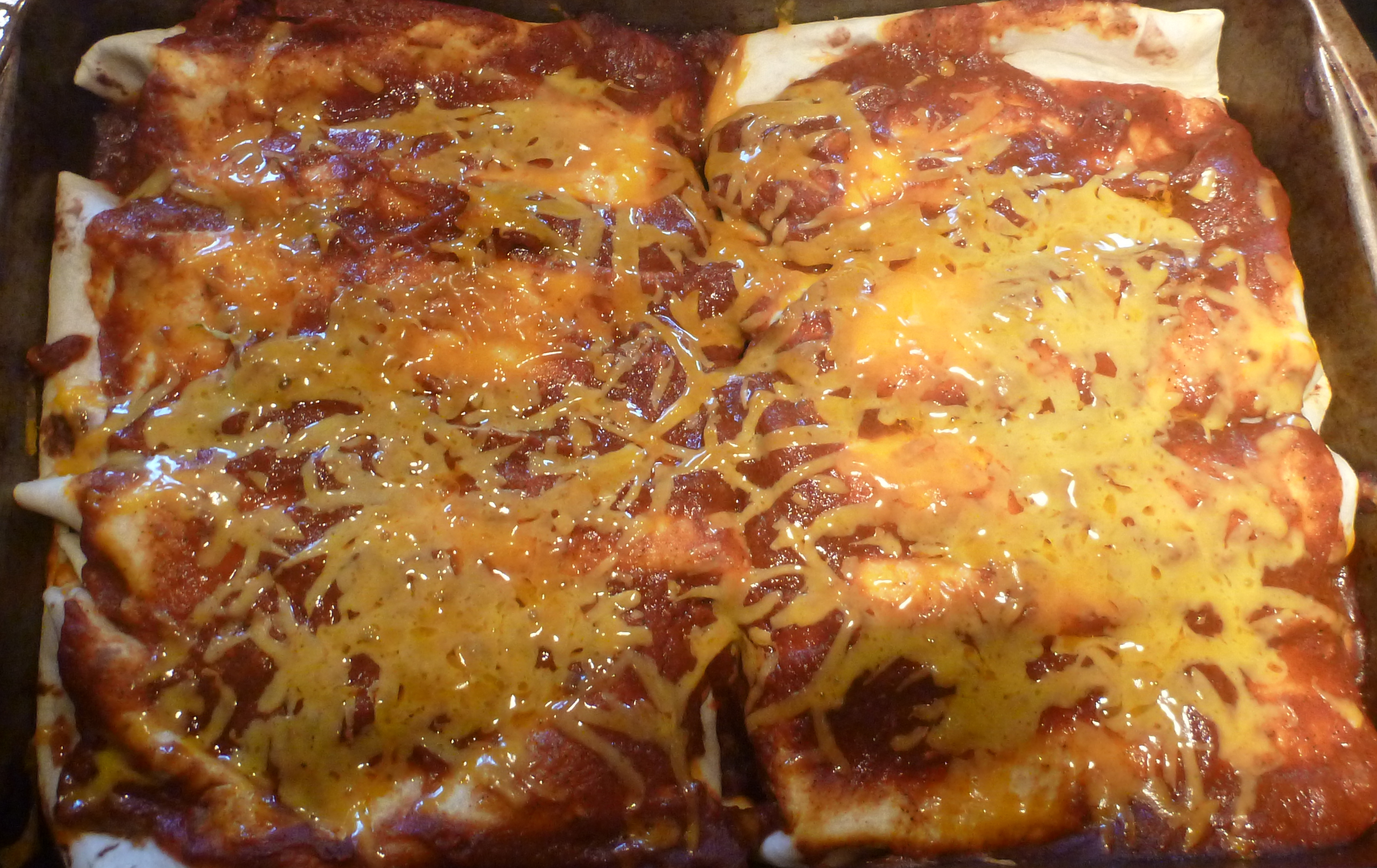 Chicken Enchiladas