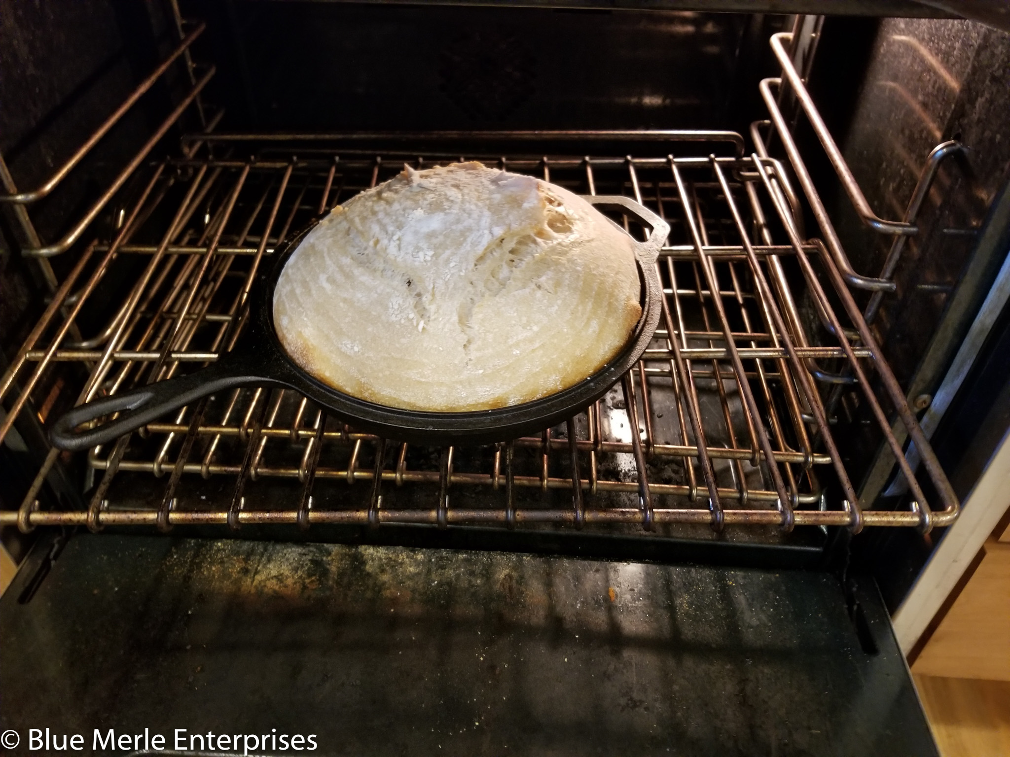 Sourdough Bread Baked on the Grill – Kayla's Kitchen