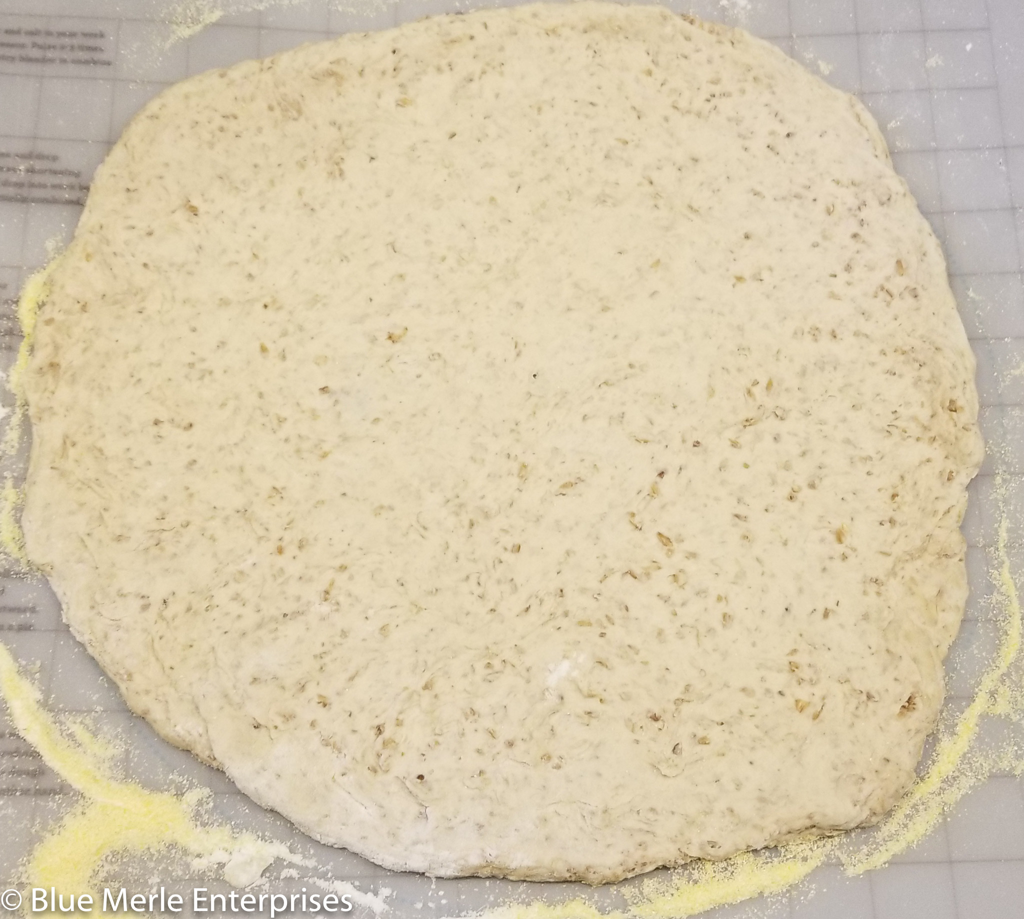 Spent Grain Pizza Dough – Kayla's Kitchen